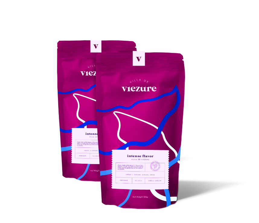 Viezure branding case study