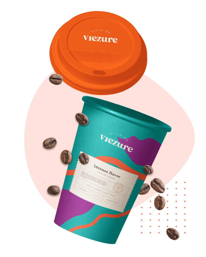 Viezure branding case study